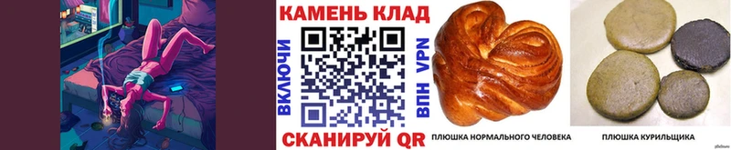 что такое Нерехта Гашиш гарик