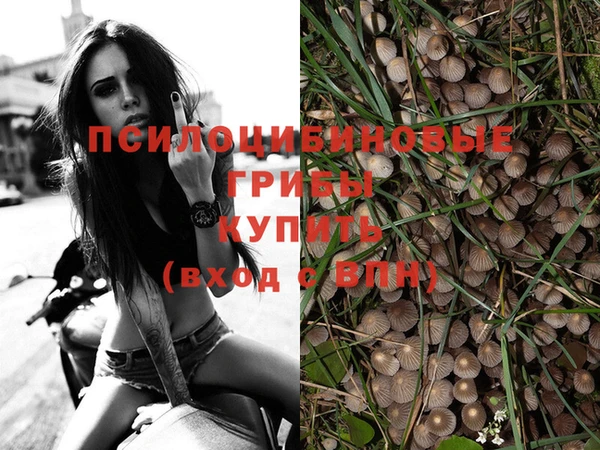 ALPHA PVP Алексин